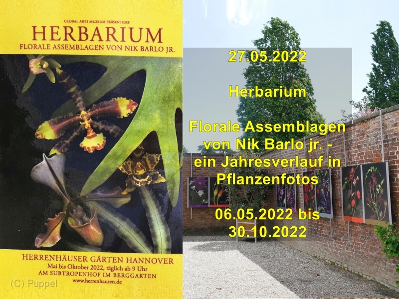 2022/20220527 Berggarten Herbarium/index.html